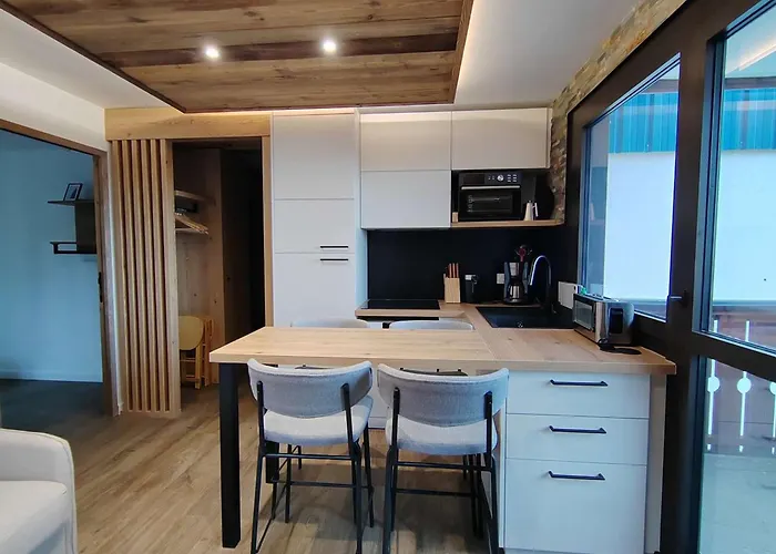 Lägenhet Cosy 4 Pers Renove Au Coeur De Avec Acces Aux Pistes - Fr-1-545-49