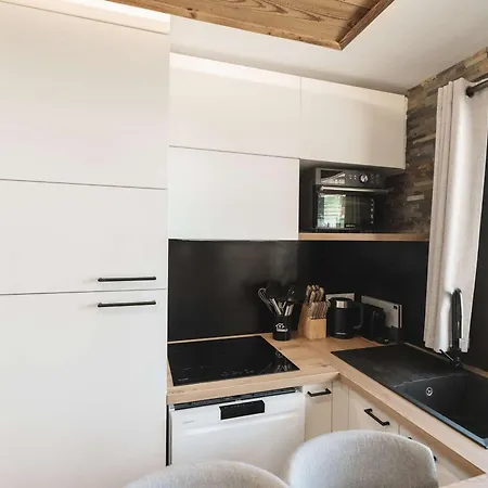 Cosy 4 Pers Rénové Au Cœur De Avec Accès Aux Pistes - Fr-1-545-49 *